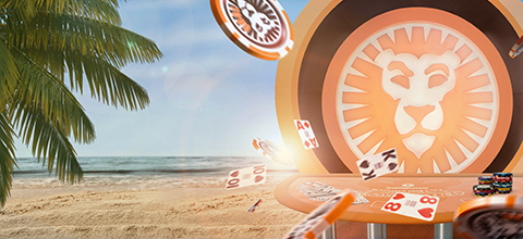 The Ming Dynasty slot play