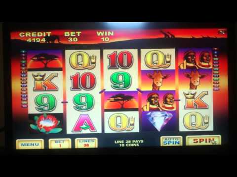 king of the jungle casino