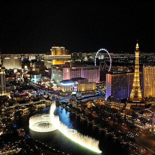 casino dingo no deposit bonus codes