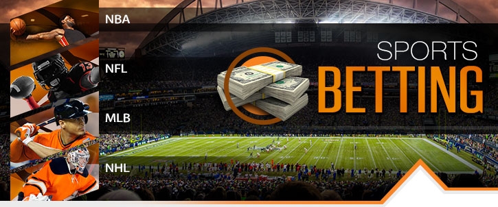 betting software